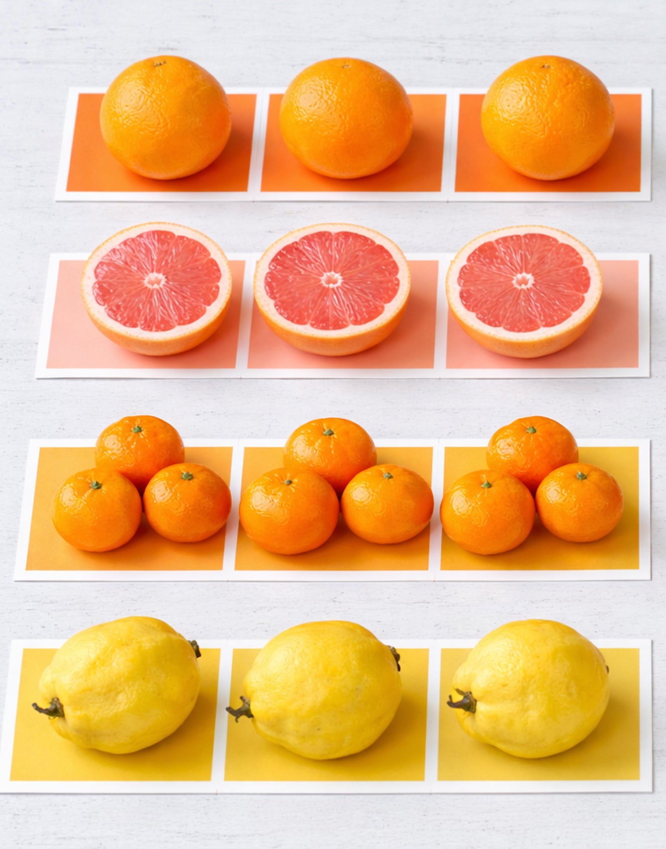 Day at the Brownstone