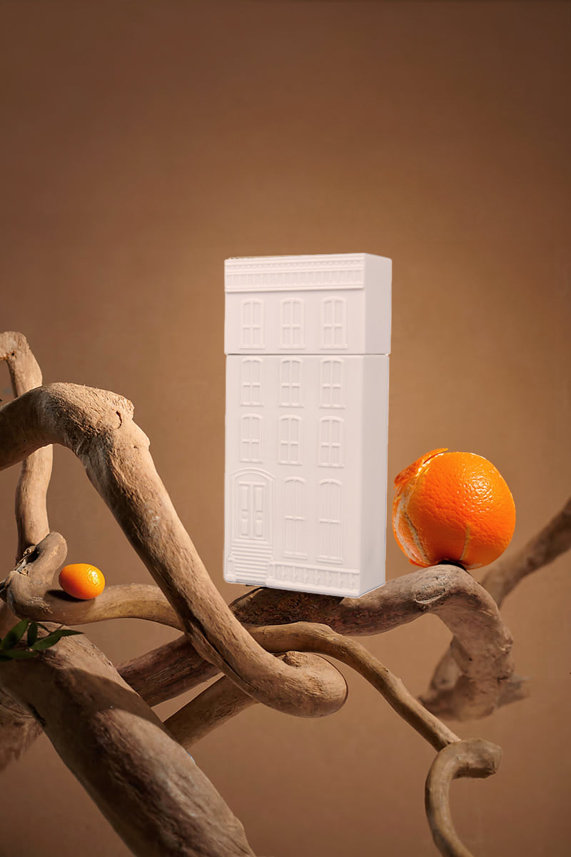 Day at the Brownstone